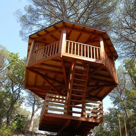 Cabanes Dosrius Canyamás Oda fotoğraf
