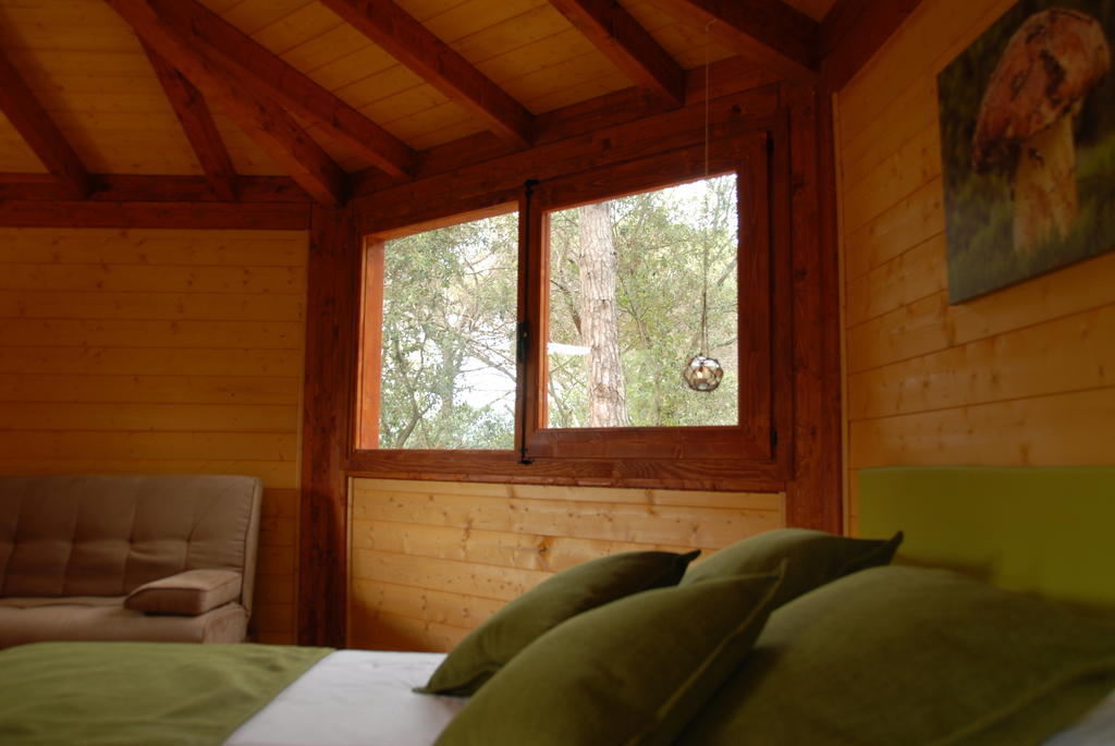 Cabanes Dosrius Canyamás Oda fotoğraf