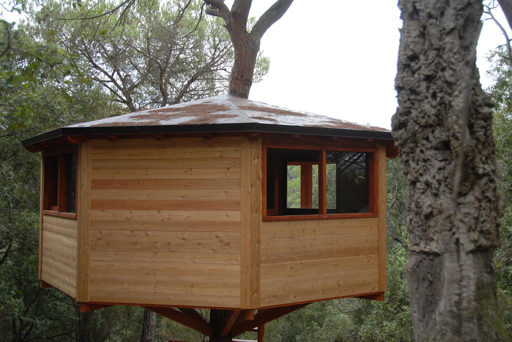 Cabanes Dosrius Canyamás Oda fotoğraf