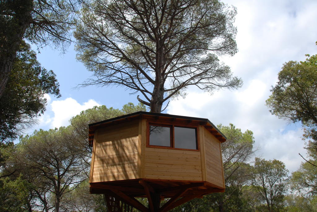 Cabanes Dosrius Canyamás Oda fotoğraf