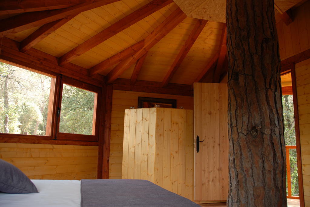 Cabanes Dosrius Canyamás Oda fotoğraf