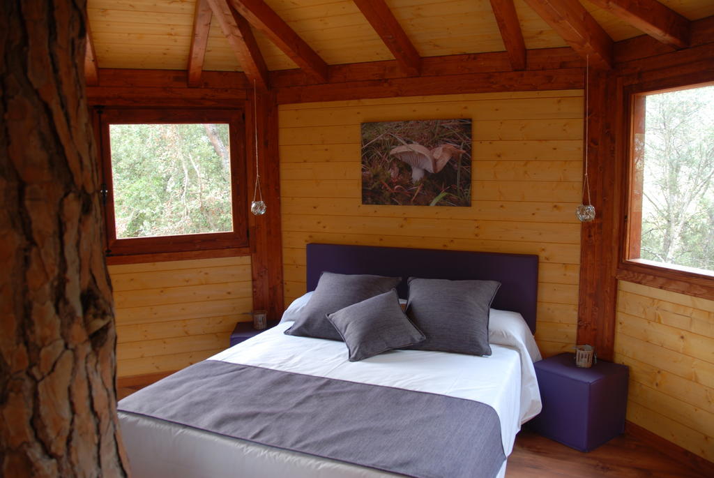 Cabanes Dosrius Canyamás Oda fotoğraf